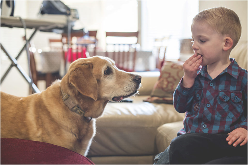 Camden Family Photography, Angie Duncan Photography, www.angieduncan.com.au